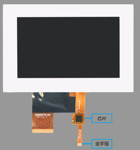 PP电子5金狮·(中国区)游戏官方网站