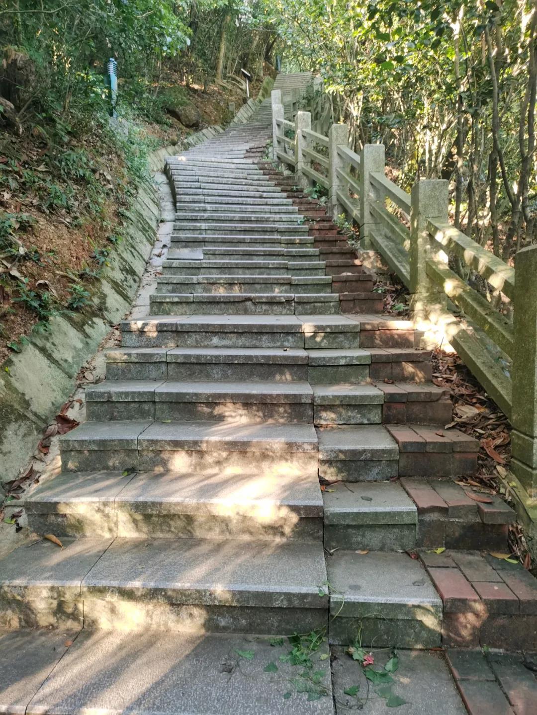 PP电子5金狮·(中国区)游戏官方网站