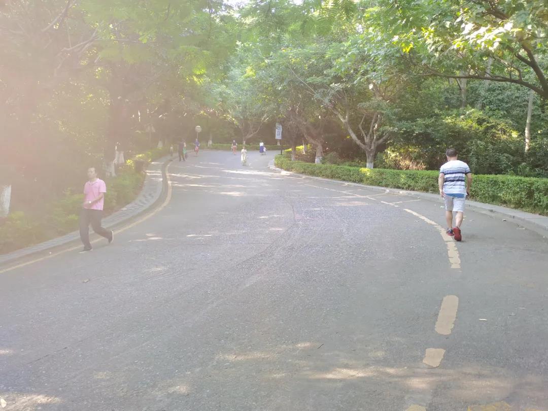 PP电子5金狮·(中国区)游戏官方网站