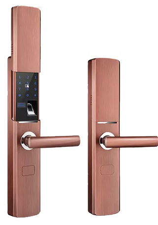 PP电子5金狮智能锁门出品牌